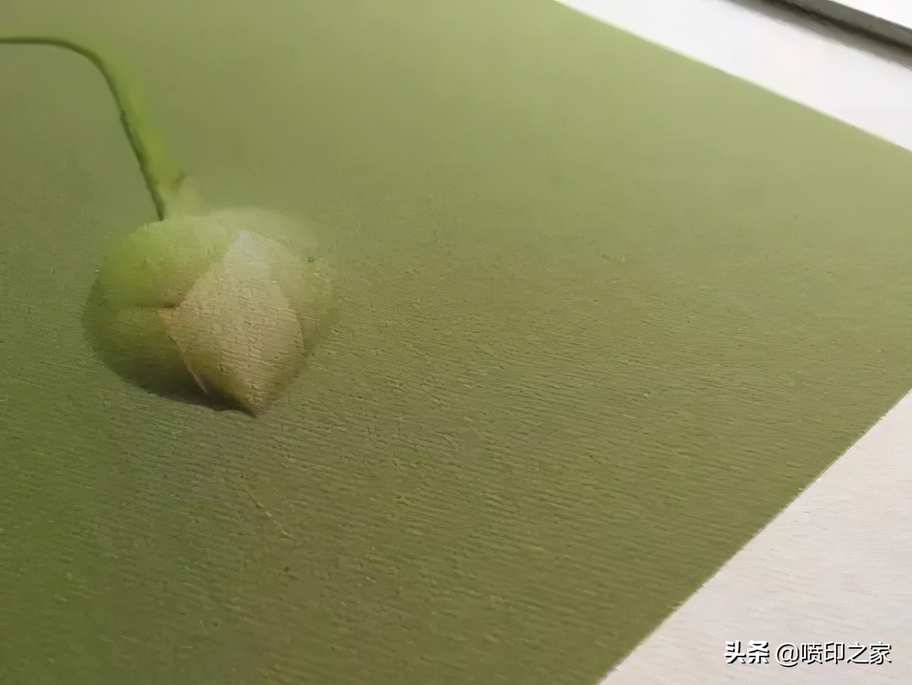 油画布与丝绢布哪个价格高,油画布的种类与用法