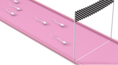 论当我还是一颗精子时，是如何跨越重重阻碍与“她”相遇