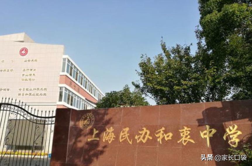 上海这块教育洼地华二、上外、世外、上大你喜欢哪个？