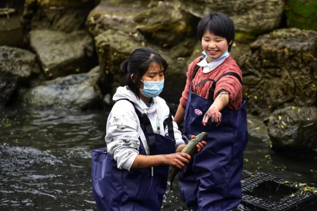 揭秘丨会玩,更会学!位于城北的这所七系学校,你了解多少?