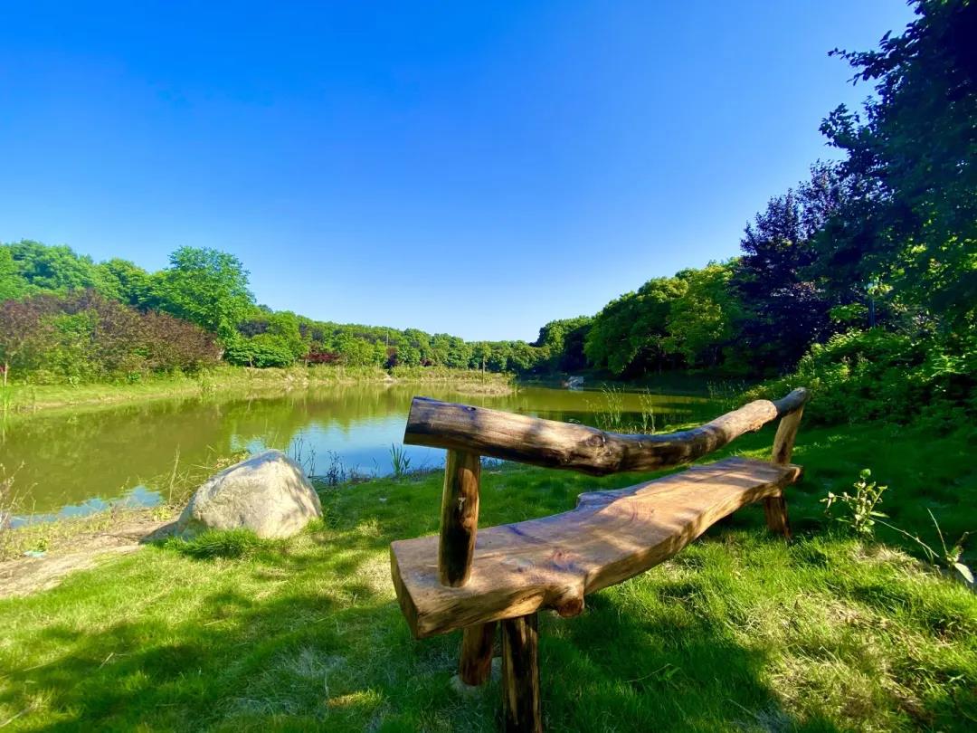 荆州乡村旅游又有大项目，集美森林梦想小镇，投资1亿占地1200亩