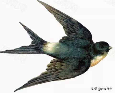 徐州这小哥堪比李佳琦，调出“神仙水”我喝完后再不用美颜相机