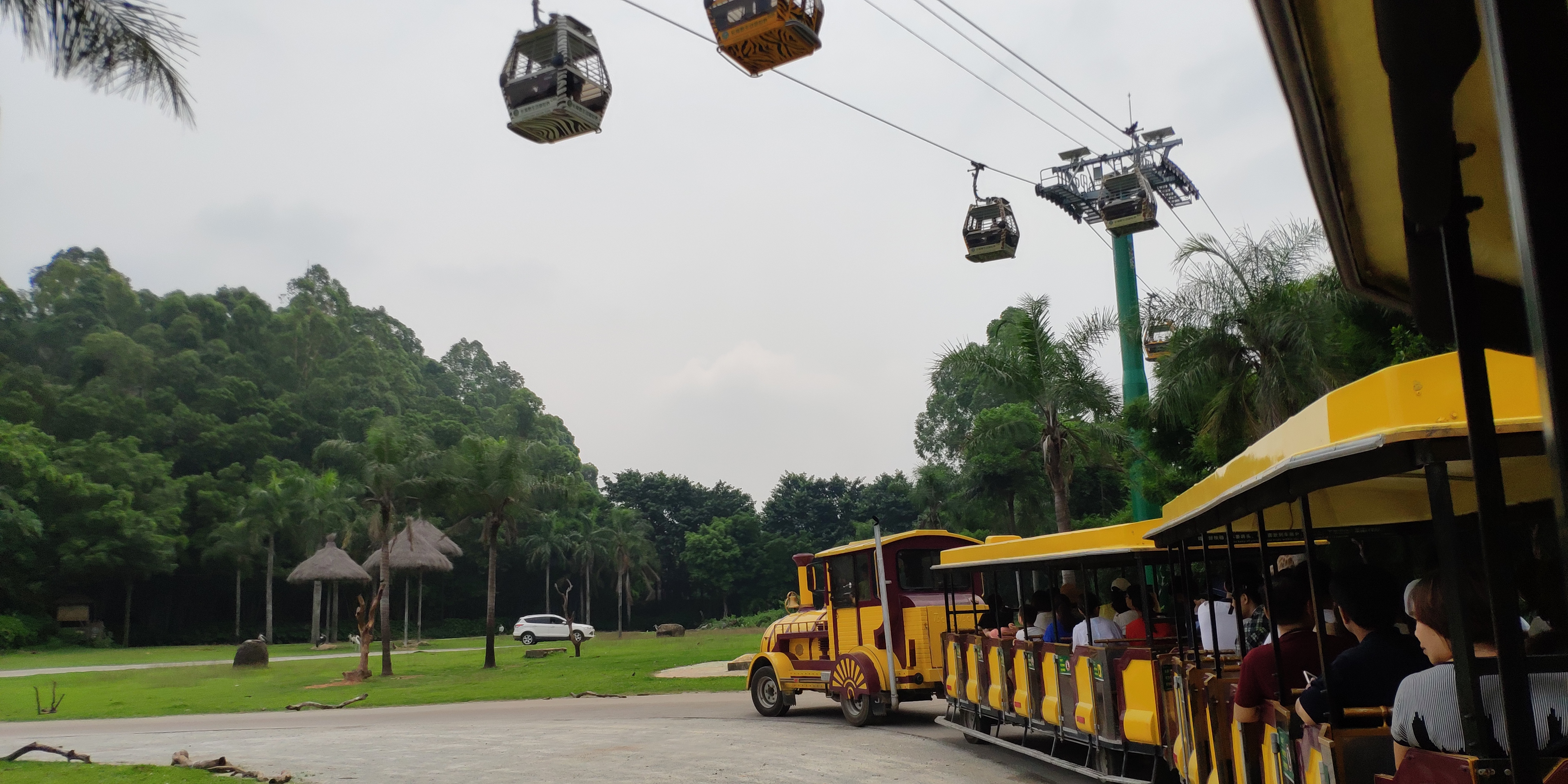 广州长隆哪个园区适合带孩子玩,广州长隆有哪些好地方