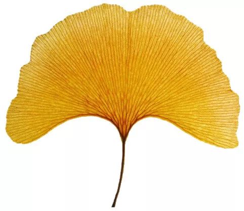 儿童时期的完美主义可能是强迫症的预兆