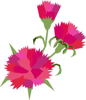 女为悦己者容江苏,女为悦己者容作品集