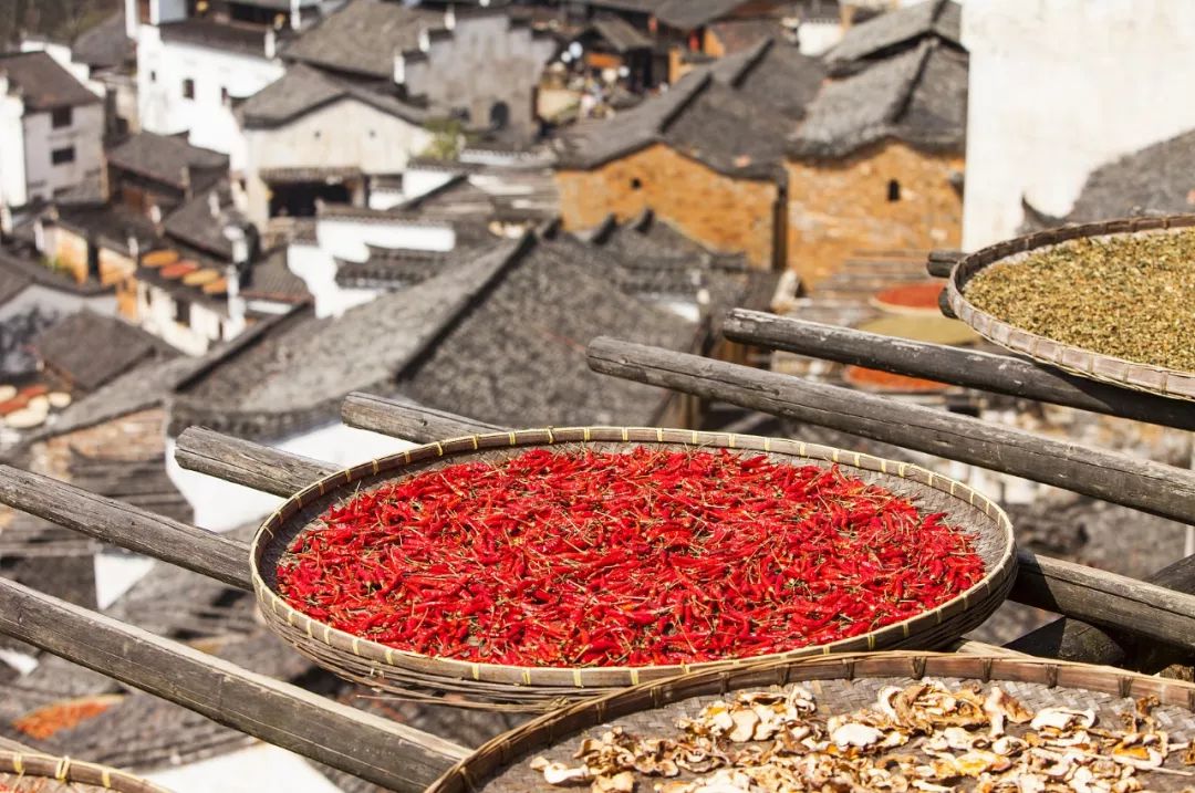 九月初九重阳节有哪些习俗,农历九月初九重阳节可以结婚吗