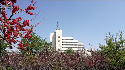 出了门的女人少管娘家闲事的句子,找上门的女人