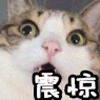 你的名牌衣服打这儿来的吗？青岛一服装市场千元大牌只卖几十元！