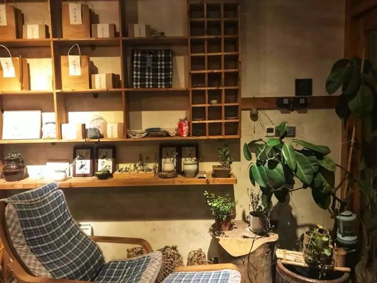 崇明最好的民宿推荐一下,崇明民宿心之所安