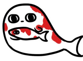 你报名成功了吗,汝州锦鲤