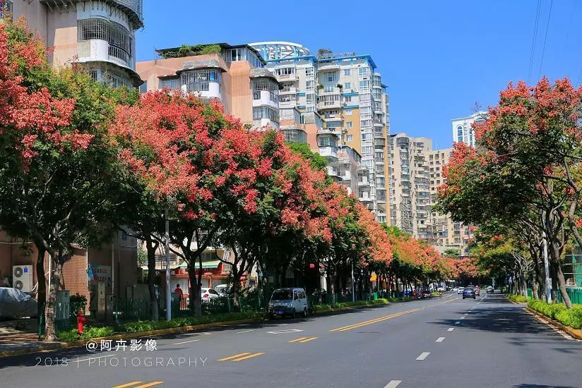带你看美丽的厦门海边美景,厦门海洋最美丽的风景