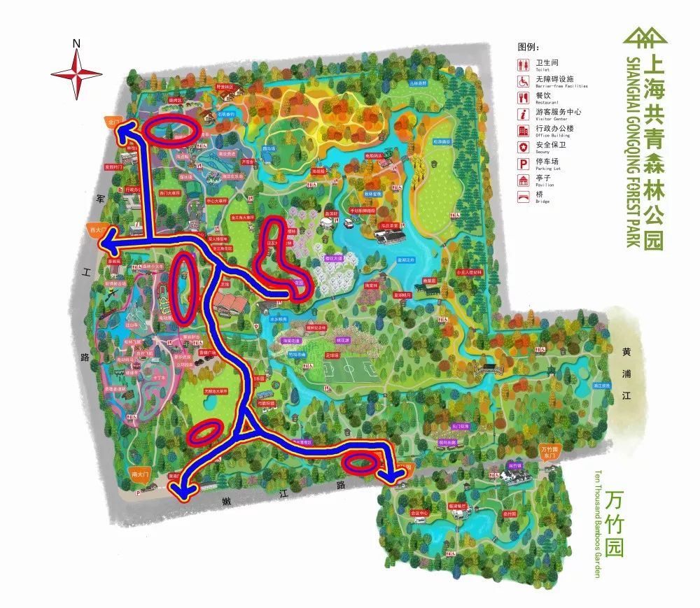 上海赏桂花好去处,江浙沪赏桂哪里去