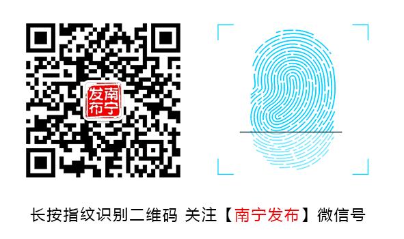 壮族三月三八桂嘉年华文化旅游,广西壮族三月三八桂嘉年华视频