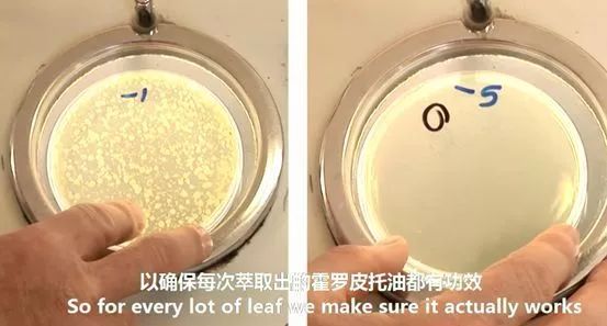 香港脚怎么彻底治愈,香港脚怎么根除