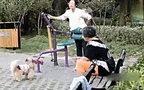 撞头、吃蝌蚪、把果汁注入静脉，奇葩养生总有人信？