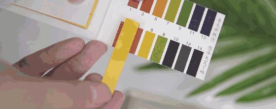 一瓶水止痒,后背长痱子很痒怎么解决