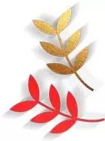 夜话丨任岁月更迭，我们初心不改