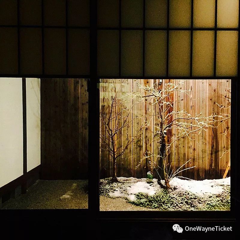 浮游纪,浮游纪在线阅读