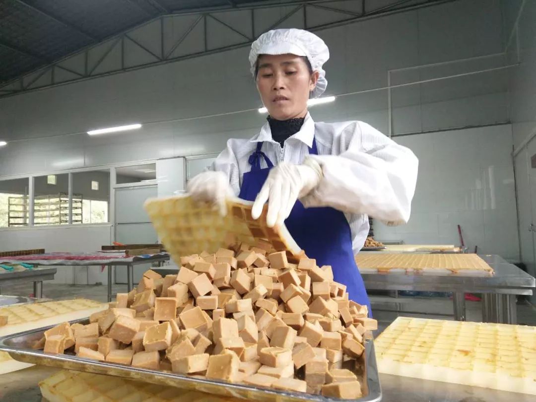 纳桑红糖双十一,纳桑新款