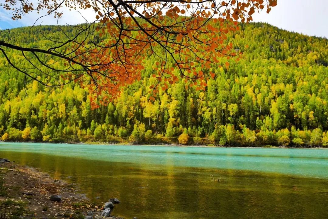 瀹滀俊璐㈠瘜楂樼,瀹滀俊璐㈠瘜瀹㈡埛缁忕悊鍚嶅崟