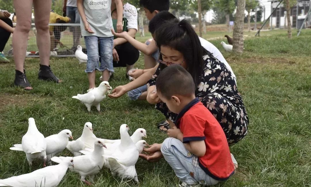 朝阳蓝调庄园亲子乐园,鞍山祥和庄园美吗