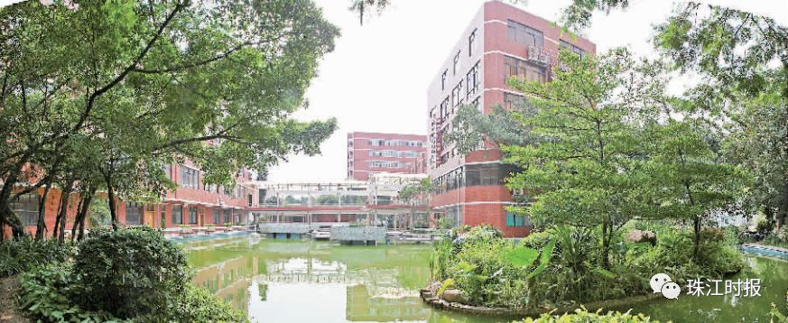 有教无类育人才！南海开放大学创新学历教育和社区教育模式