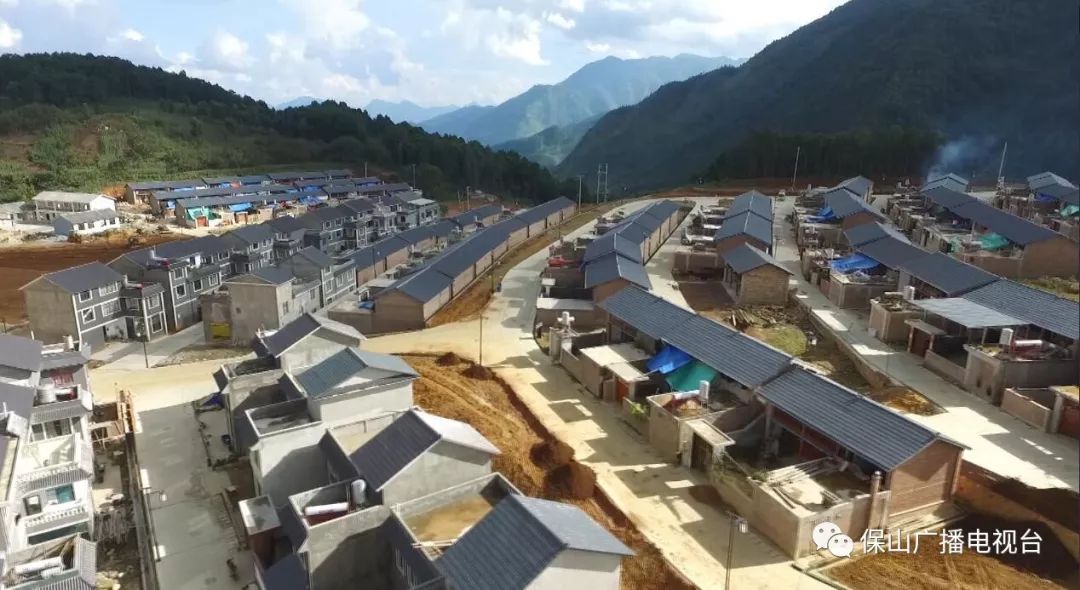 龙陵石斛产业合作,龙陵镇石斛