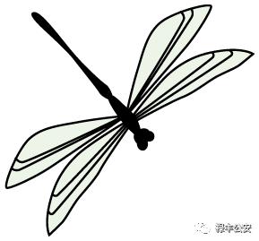 紫薇校园禁毒课堂,绿色校园携手禁毒