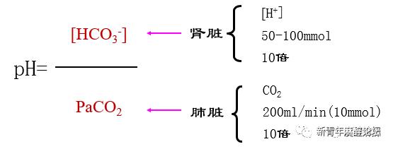 如何做好血气分析结果判读?教程来了……