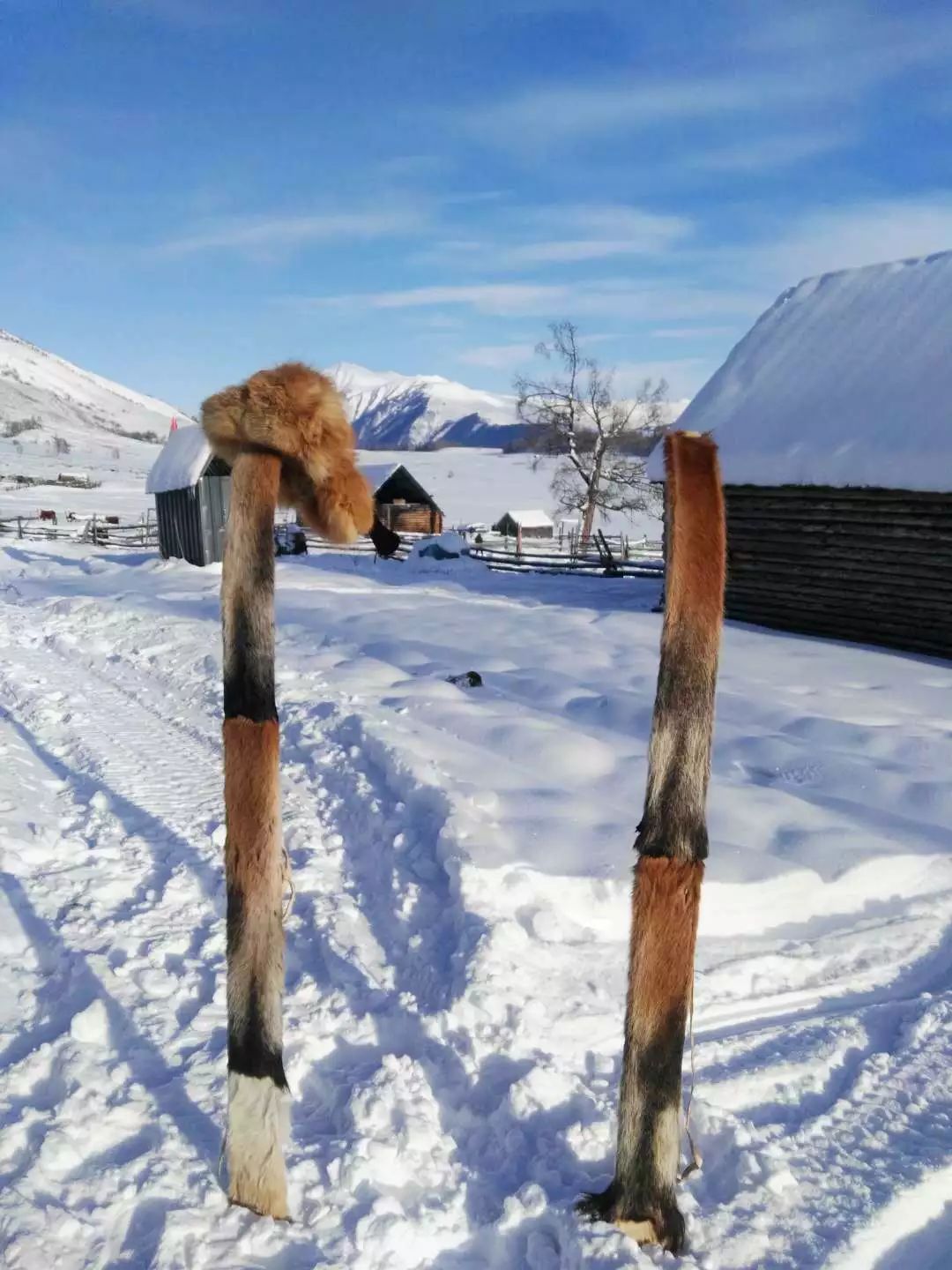 华夏航空国际航线电话,华夏航空库尔勒夏季新开航线