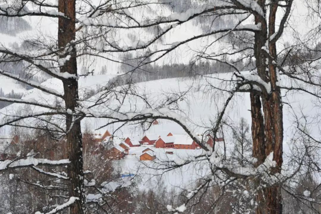 华夏航空国际航线电话,华夏航空库尔勒夏季新开航线