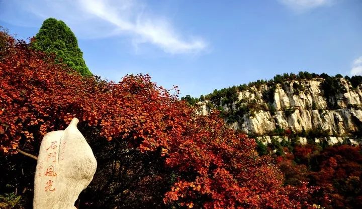 一泡红丨金秋时节，来临朐揽翠湖邂逅一场温泉+红叶的节后错峰游！