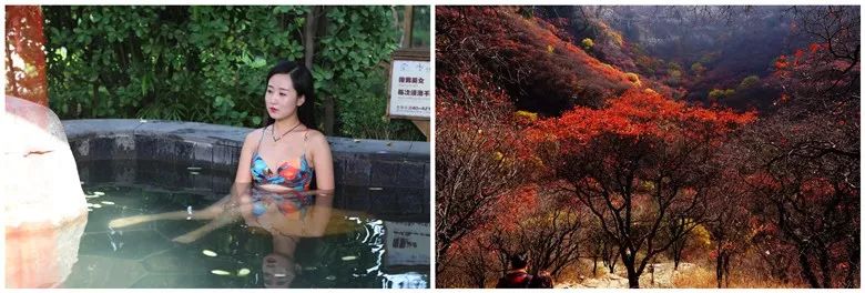 一泡红丨金秋时节，来临朐揽翠湖邂逅一场温泉+红叶的节后错峰游！