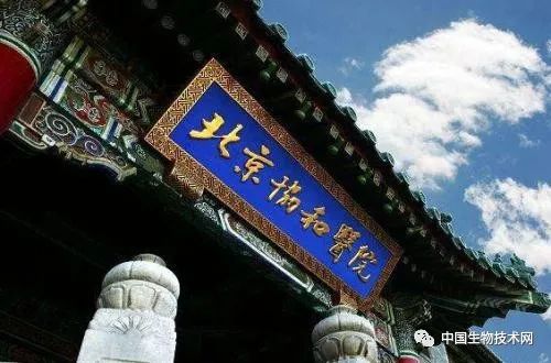 患者招募|北京协和医院肿瘤内科开展信迪利单抗联合化疗一线治疗晚期肺癌的临床研究