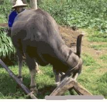 开心一笑每日一笑,笑一笑烦恼的时候笑一笑