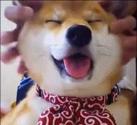 边看电影边赚钱这个靠谱吗,边看电影边赚钱