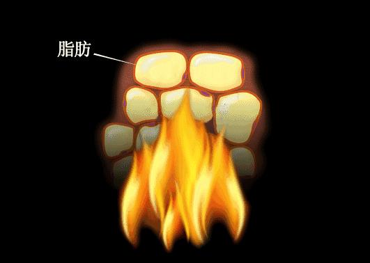 排油减脂抗糖解油腻,吸油刮油减肥法