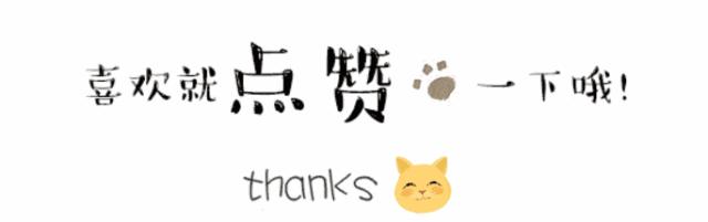 同运动、共追梦，2019南京体育嘉年华热动雨花