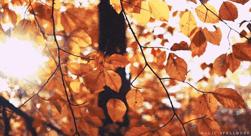 最美秋天诗词原创,诗词秋天