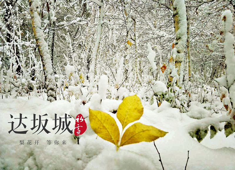 游·达坂城｜下雪了，一起来达坂城看美景~