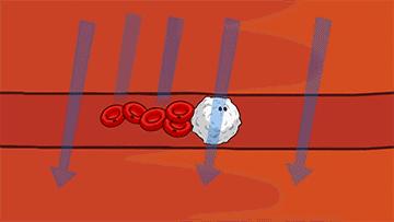 千万别信这些养生方法都是骗人的,千万别信养生禁忌