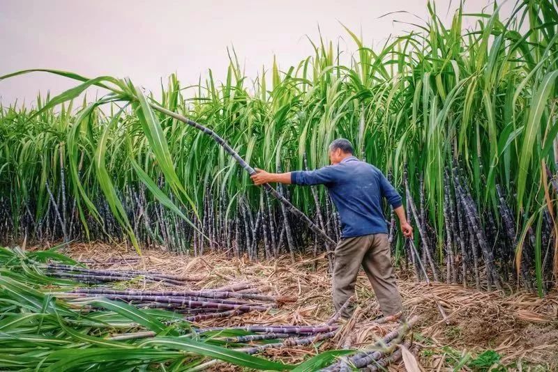 探店美食有什么福利,浮茶爱酱优惠团购