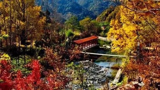 河南看红叶最好的地方,河南红叶最佳观赏时间表