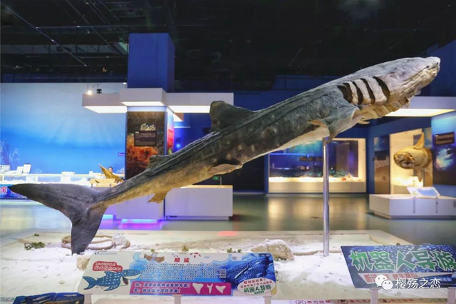 大连金石滩游记,玩转大连金石滩