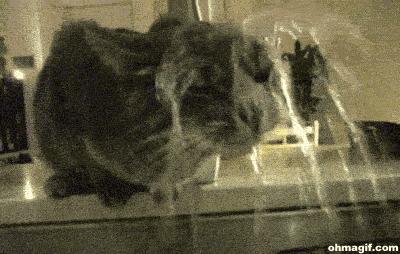 别乱买了,面膜真正的作用就这一个……