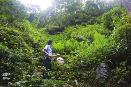 「我与改革开放的故事」之十二:从“鸣锣传信”到“即时通讯”