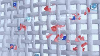 洗白t恤的洗衣液,双12搜索免单洗衣液