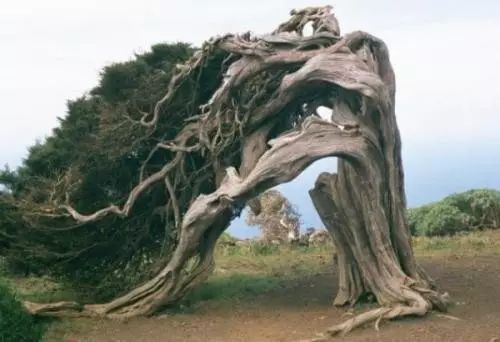 竹溪县实验小学第一届运动会,竹溪县第九届中小学生田径运动会
