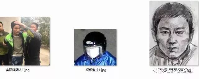 白银案张欣画像,神笔警探张欣破案