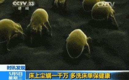 棉花被和蚕丝被到底哪个好,蚕丝被和棉花被哪个好一点